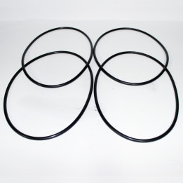 O-Ring Terberg